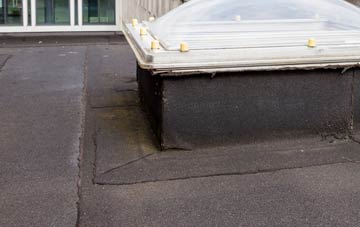 disadvantages of Caol flat roofs