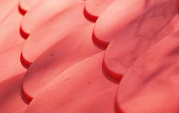 Caol plastic roof costs